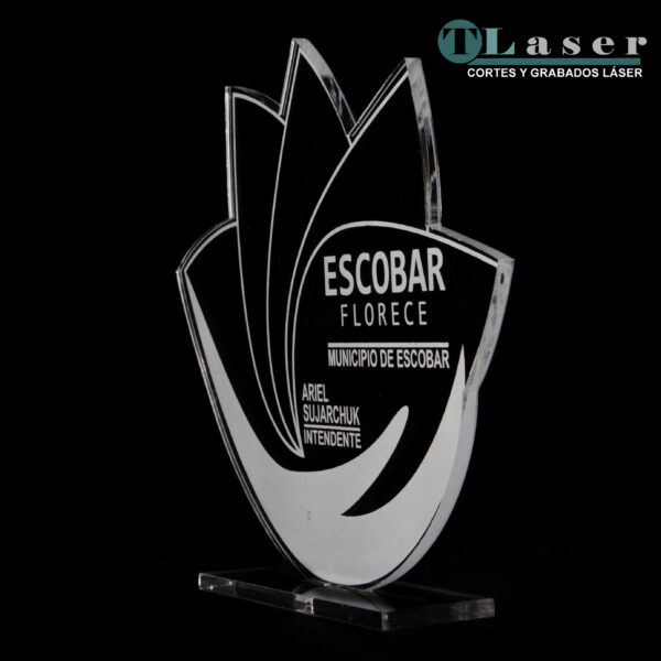 Reconocimientos Acrílicos 4mm de espesor - Image 5